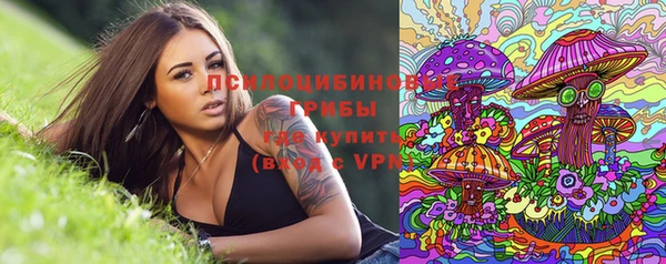 ALPHA PVP Костерёво