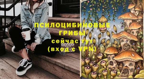 ALPHA PVP Костерёво