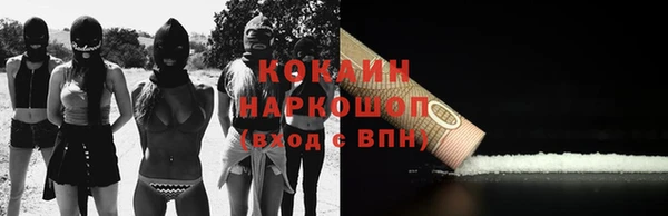 стаф Кодинск