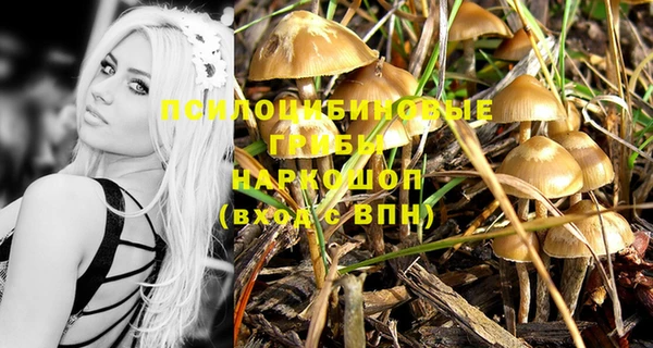 a pvp Корсаков